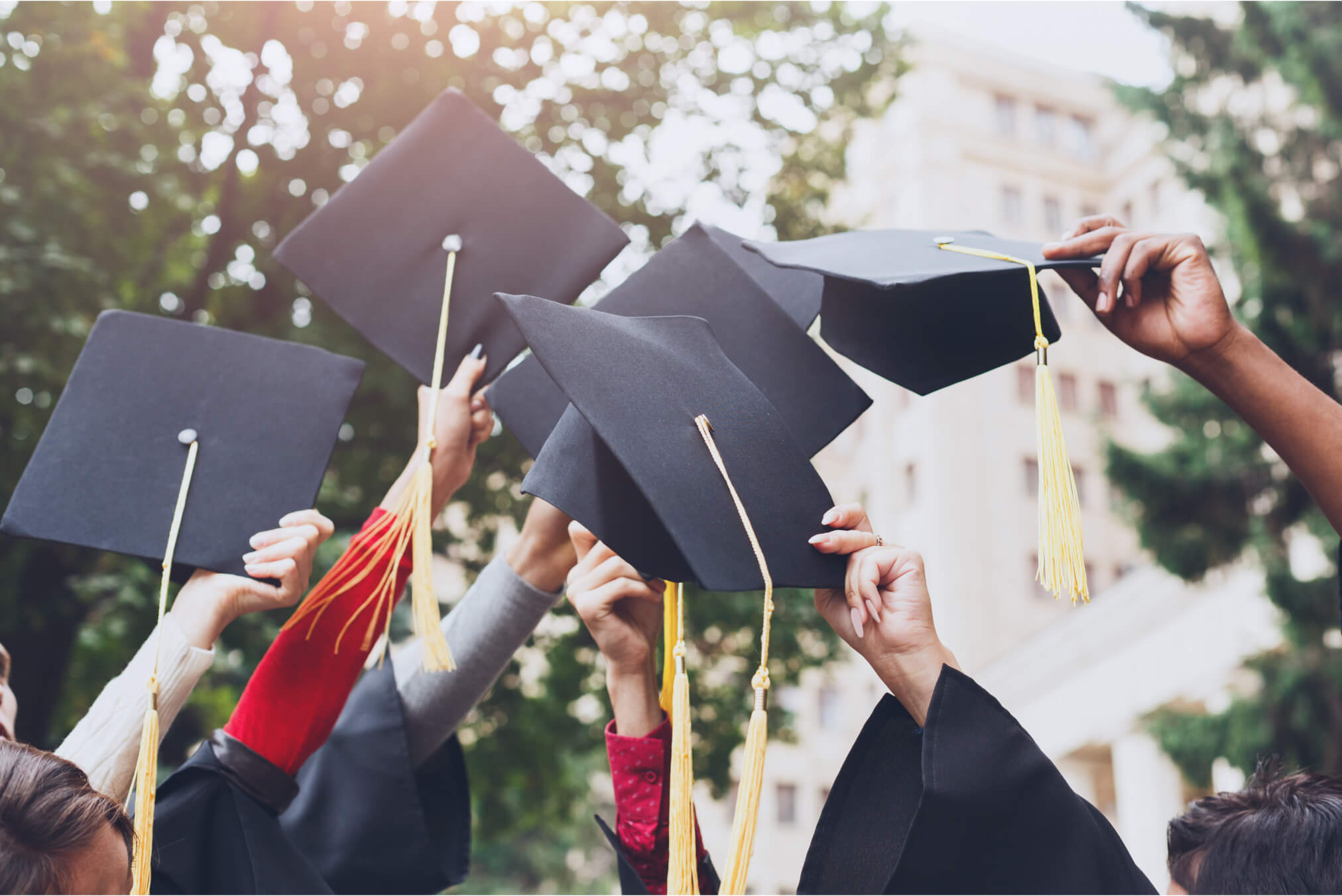 Европейские выпускники